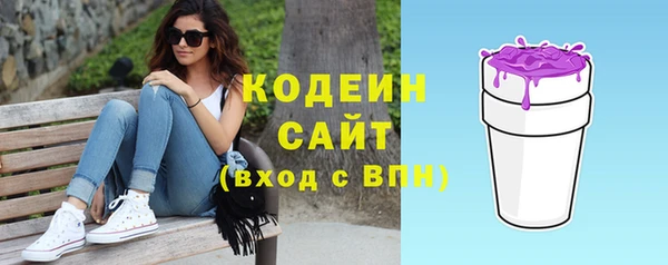 соль ск Каменка