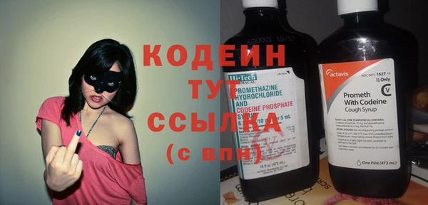соль ск Каменка