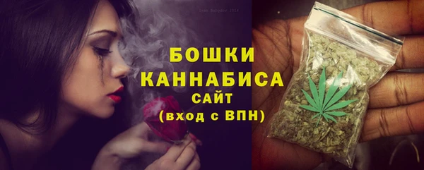 соль ск Каменка