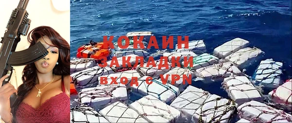 соль ск Каменка