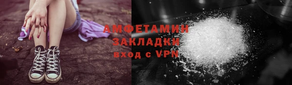 соль ск Каменка