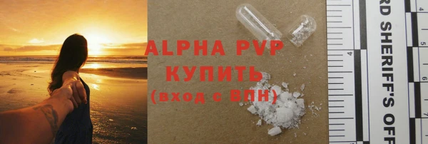 стафф Каменногорск