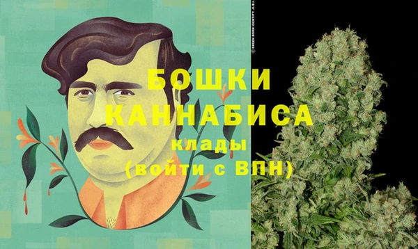 стафф Каменногорск