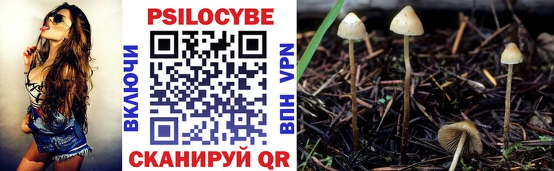 Купить где  Дзержинский  Псилоцибиновые грибы мухоморы 